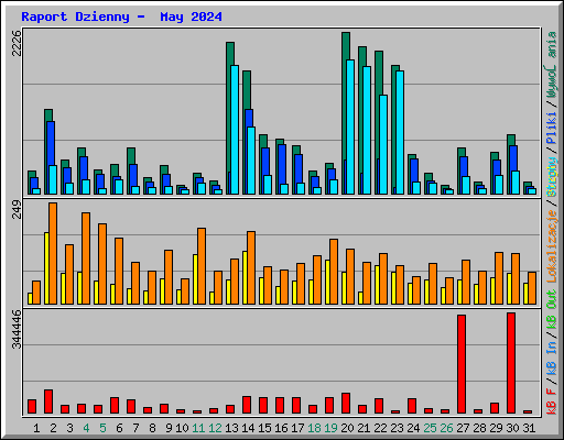 Raport Dzienny -  May 2024