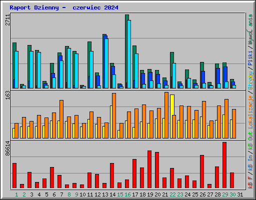 Raport Dzienny -  czerwiec 2024