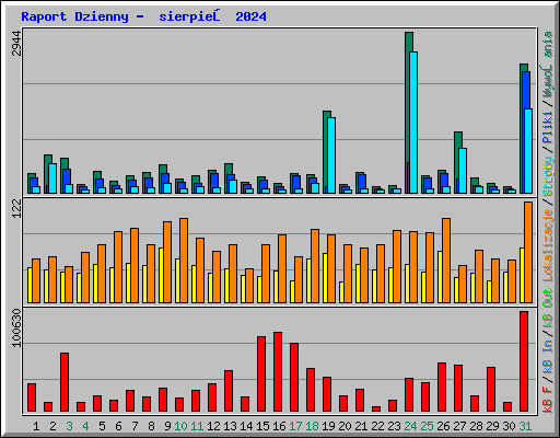 Raport Dzienny -  sierpień 2024