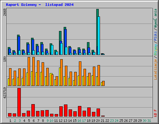 Raport Dzienny -  listopad 2024
