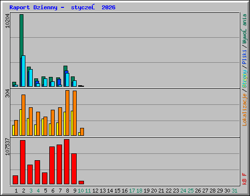 Raport Dzienny -  styczeń 2026