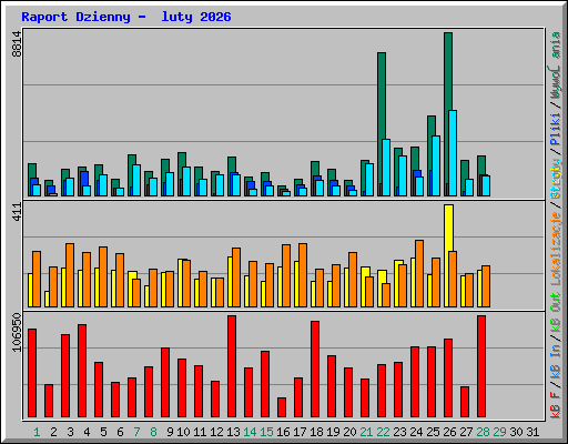 Raport Dzienny -  luty 2026