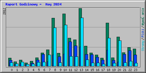 Raport Godzinowy -  May 2024