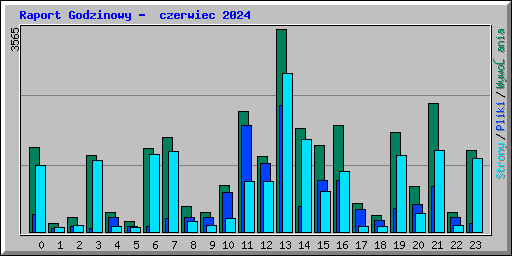 Raport Godzinowy -  czerwiec 2024