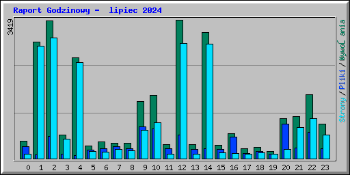 Raport Godzinowy -  lipiec 2024