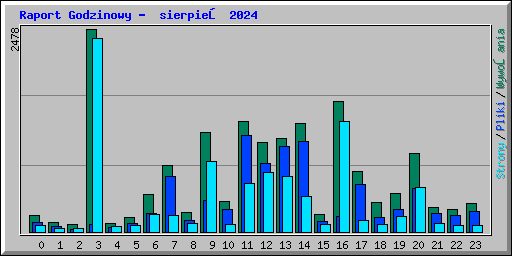 Raport Godzinowy -  sierpień 2024