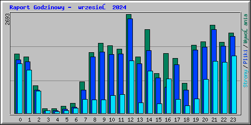 Raport Godzinowy -  wrzesień 2024