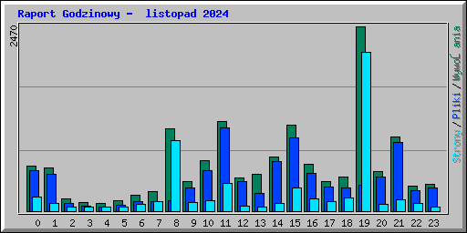 Raport Godzinowy -  listopad 2024