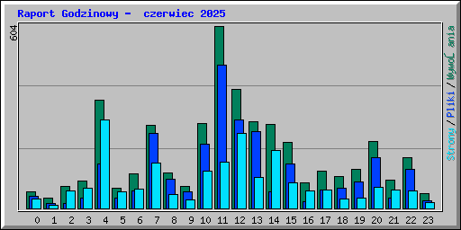 Raport Godzinowy -  czerwiec 2025