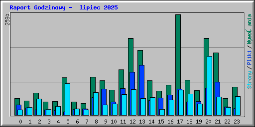Raport Godzinowy -  lipiec 2025