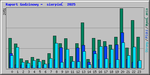 Raport Godzinowy -  sierpień 2025