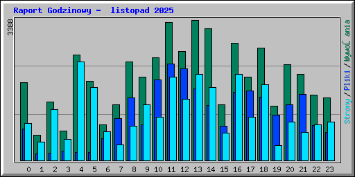 Raport Godzinowy -  listopad 2025