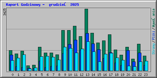 Raport Godzinowy -  grudzień 2025