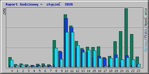 Raport Godzinowy -  styczeń 2026