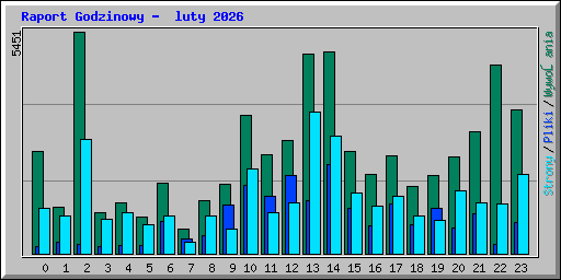 Raport Godzinowy -  luty 2026