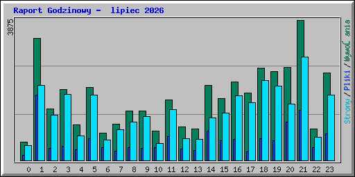 Raport Godzinowy -  lipiec 2026