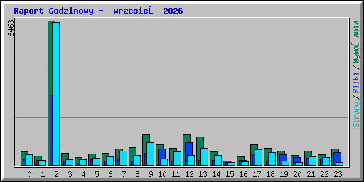 Raport Godzinowy -  wrzesień 2026
